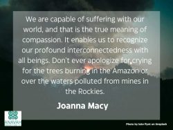 Joanna Macy quote